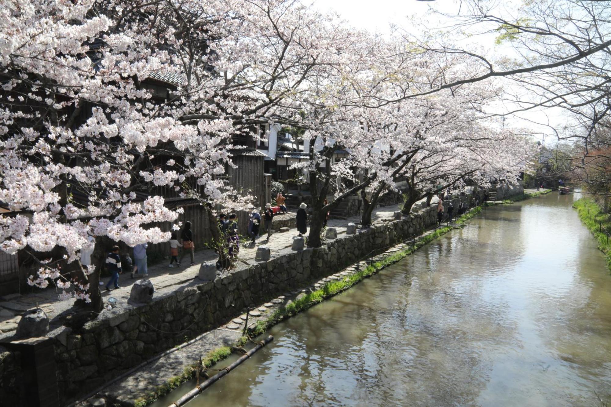 Guesthouse Omihachiman Eksteriør bilde